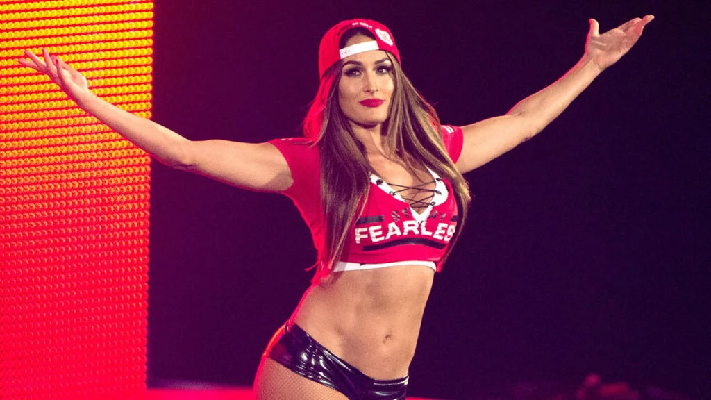 Nikki Bellas Journey to Fame and Fortune 1