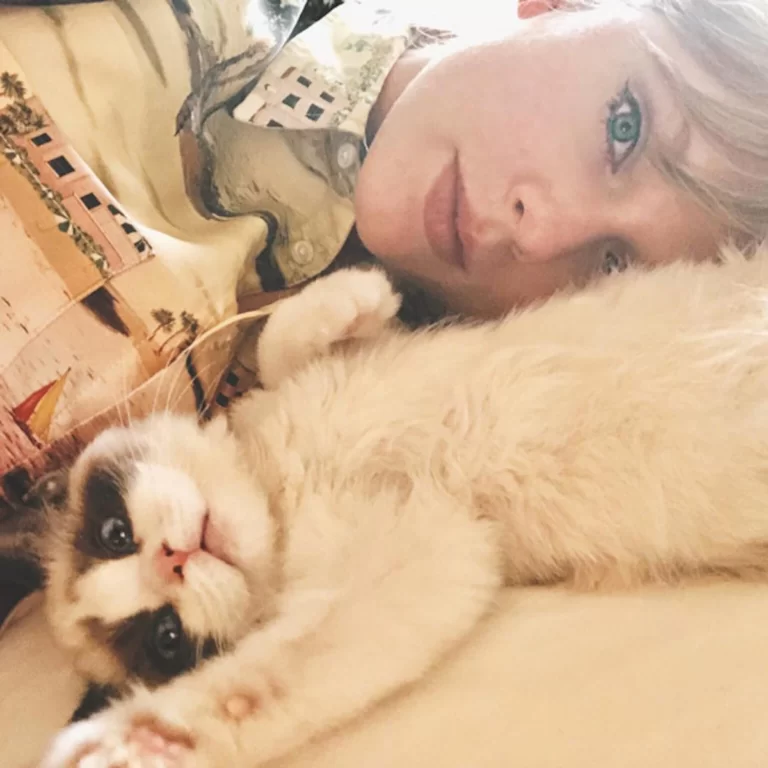 Taylor Swift’s CATS-inspired movie Argylle – director Matthew Vaughn, rumors