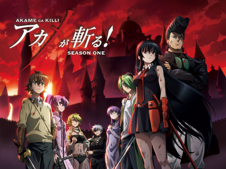 EVERYTHING About Akame ga Kill Anime