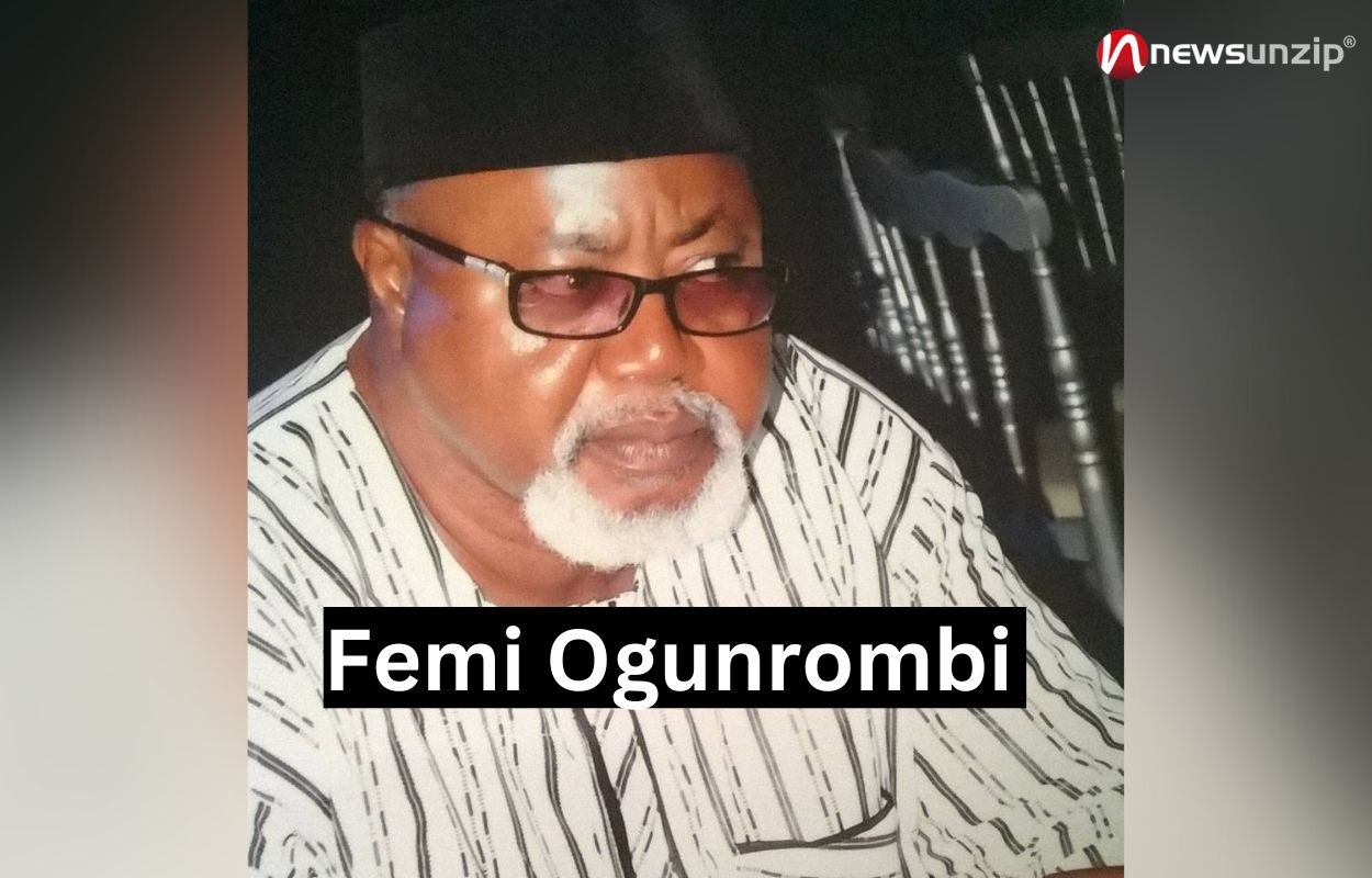 Femi Ogunrombi - Snapshot 3