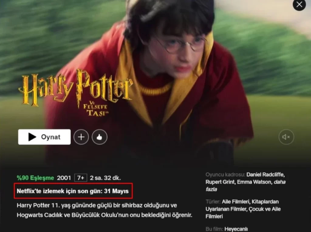 Harry Potter Netflixten Kaldirildi mi